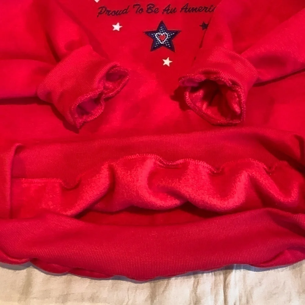 BonWorth “Proud to be American” Collared Sweater Size LP - Picture 15 of 16